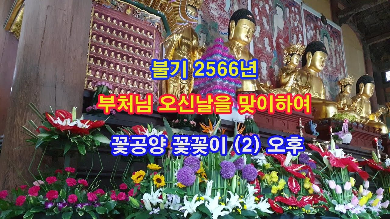 불기 2566년 부처님 오신날 맞이하여 꽃공양 꽃꽂이 (2 ) 2022년 5월 6일(오후 1시 5분)