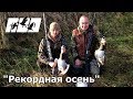 Охота на гусей 2017 ( осень) Hunting for a Goose 2017.