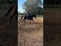 mini vlog del lavoro di ieri🫶🏻 #exracehorse