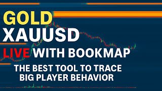 BOOKMAP LIVE | GOLD FUTURES | GC  - XAUUSD | Liquidity | Heatmap #livetrade #livegold #bookmaplive screenshot 3