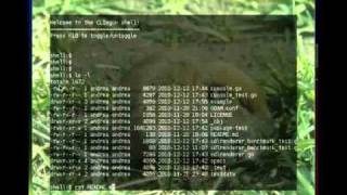 Clingon (Command Line INterface for GOlang Nerds)
