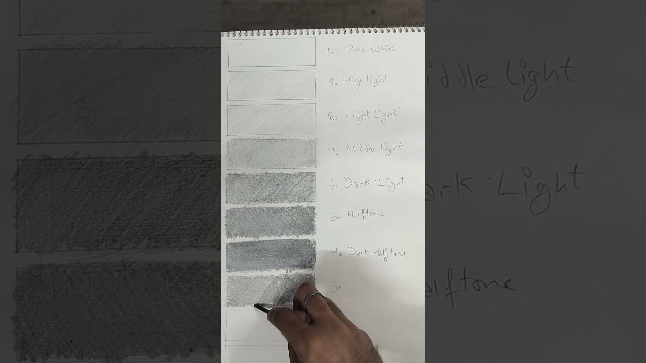 Study of Values and tones of light and dark in sketching medium 