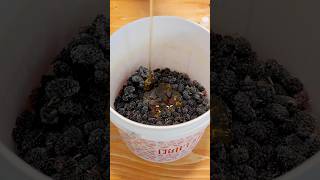 Making Mulberry Mead