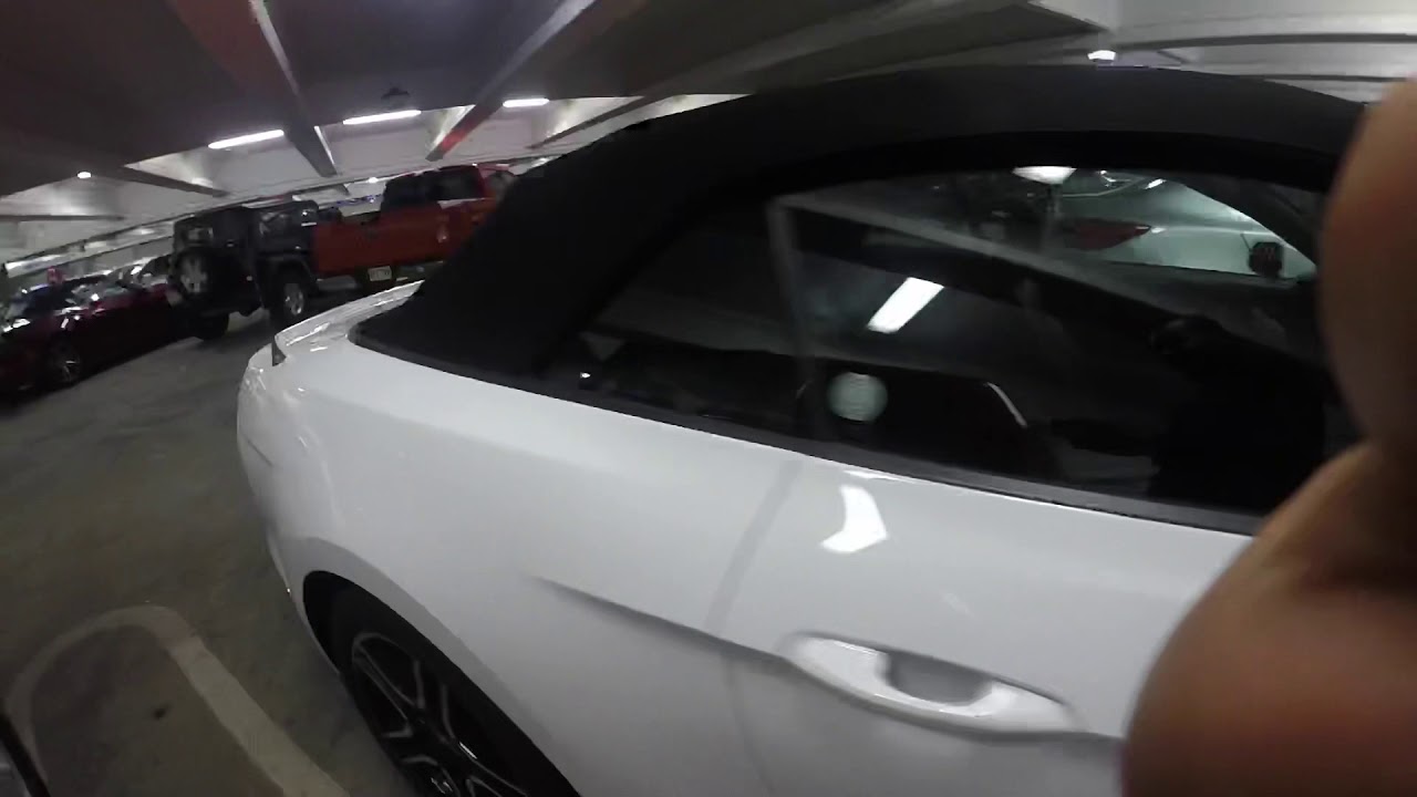 Honolulu Hawaii May 2018 ( Stoner Friendly)