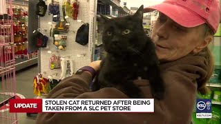 Stolen cat returned after being taken from a SLC pet store