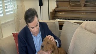 Latest headlines: Online puppy scams, police shooting under investigation and Phoenix taco spots