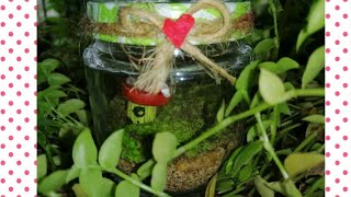 Miniature Mushroom House Gift Bottle | Heavenly Feel