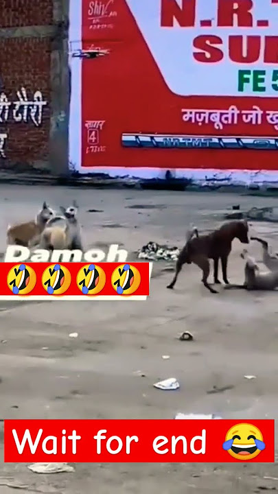 Teri maa ki😂😂 Teri behan ki🤣🤣....   #funny #funnyreels #comedy #comedyshorts #youtubeshorts #shorts