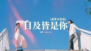 Sam Lin 林中宣 - 目及皆是你(溫柔治愈版)『我戒不掉你 像戒不了呼吸，漫長的距離 我用思念來代替，這寂靜星系 浪漫是你，一生的探秘 只想被你吸引。』【動態歌詞MV】