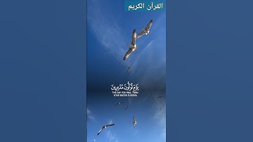 القرآن الكريم #المصحف #الرحمن #اكسبلور #CapCut