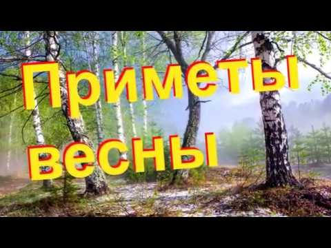 Приметы весны