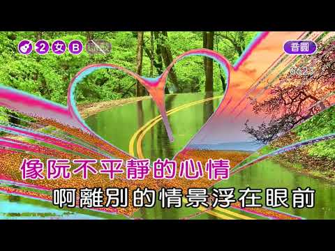 惜別的海岸~江蕙~女B調~伴奏~導唱丙