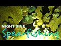 Night Dive Spearfishing in a Paradise Island [ep10] MAJURO MARSHALL ISLANDS MH