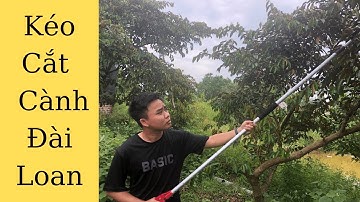 Kéo Cắt Cành 3m Đài Loan,  Hàng Nhập Khẩu !