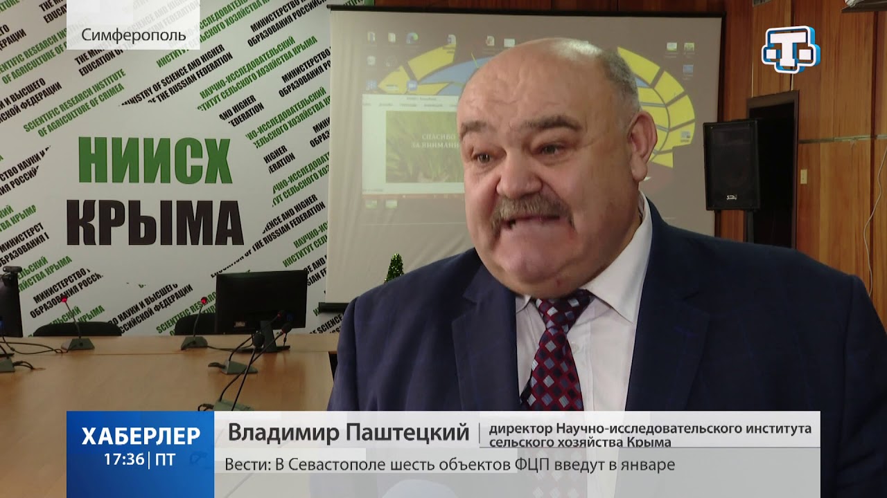 Стоимость перегнать машину