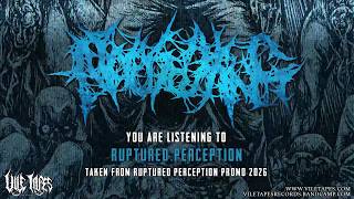 NAUSEATING - RUPTURED PERCEPTION (PROMO 2026) [OFFICIAL STREAM] SW EXCLUSIVE