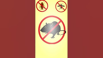 20000Hz SOUND destroys mice, rats and insects.#anti#mouse#cockroach#mosquito#repellent#