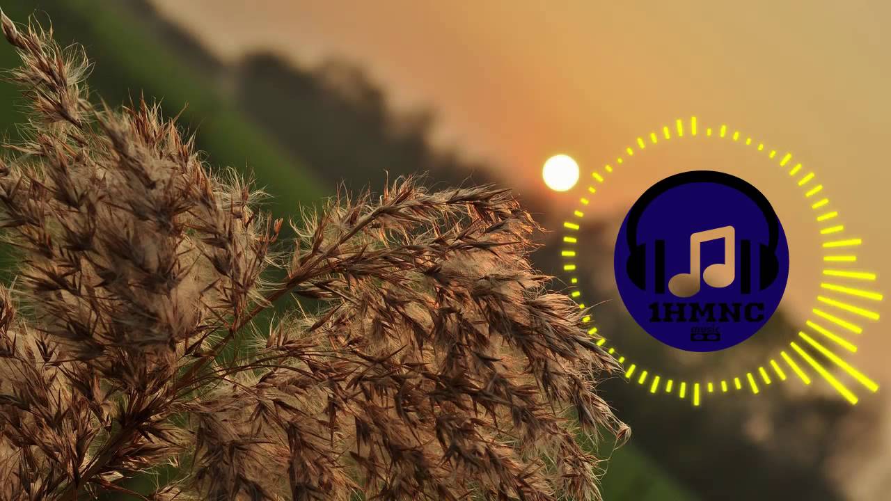 New York - GoSoundtrack [Dance & Electronic] (1 Hour Loop)