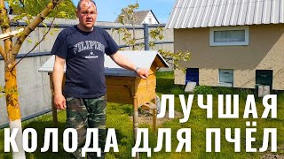 КЕННИЙСКИЙ УЛЕЙ - ЛУЧШАЯ КОЛОДА ДЛЯ ПЧЁЛ