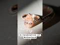 Stunning Rosy Gemstone Ring Ep. 1/2 #bespokejewelry #customjewelrydesigner #customjewelry