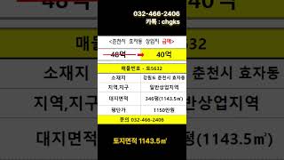춘천시 효자동 상업지 초급매 #토지전문 #상업지급매 #땅전문