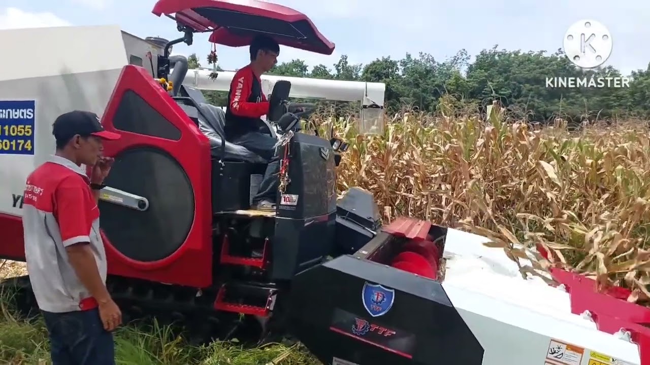 พามาเบิ่งรถเกี่ยวยันม่าร์ YH1180 กันครับ