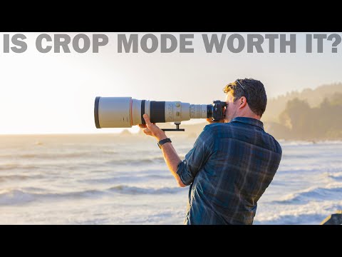 Wildlife photography with an 800mm F/4?