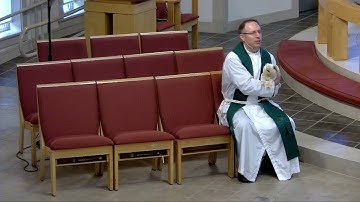 Plotinus (Tiny) the Pig - Tenth Sunday after Pentecost 2021