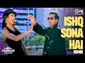 Ishq Sona Hai Remix Salman Khan Sushmita Sen Shankar Mahadevan Hema Sardesai Biwi No 1