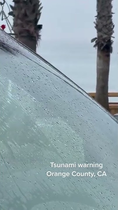 Tsunami video tiktok