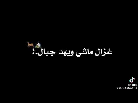 مهرجان حمو الطيخا و حمو التانجو البت ديه تخصني توزيع ماندو العالمي 2023 