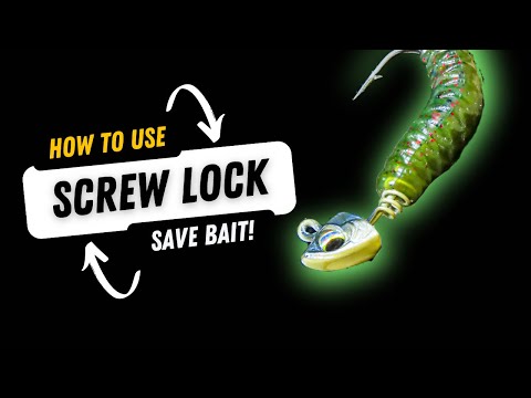 How To Rig a Lure on a Screw Lock w/ NEW 6th Sense Bongo! 