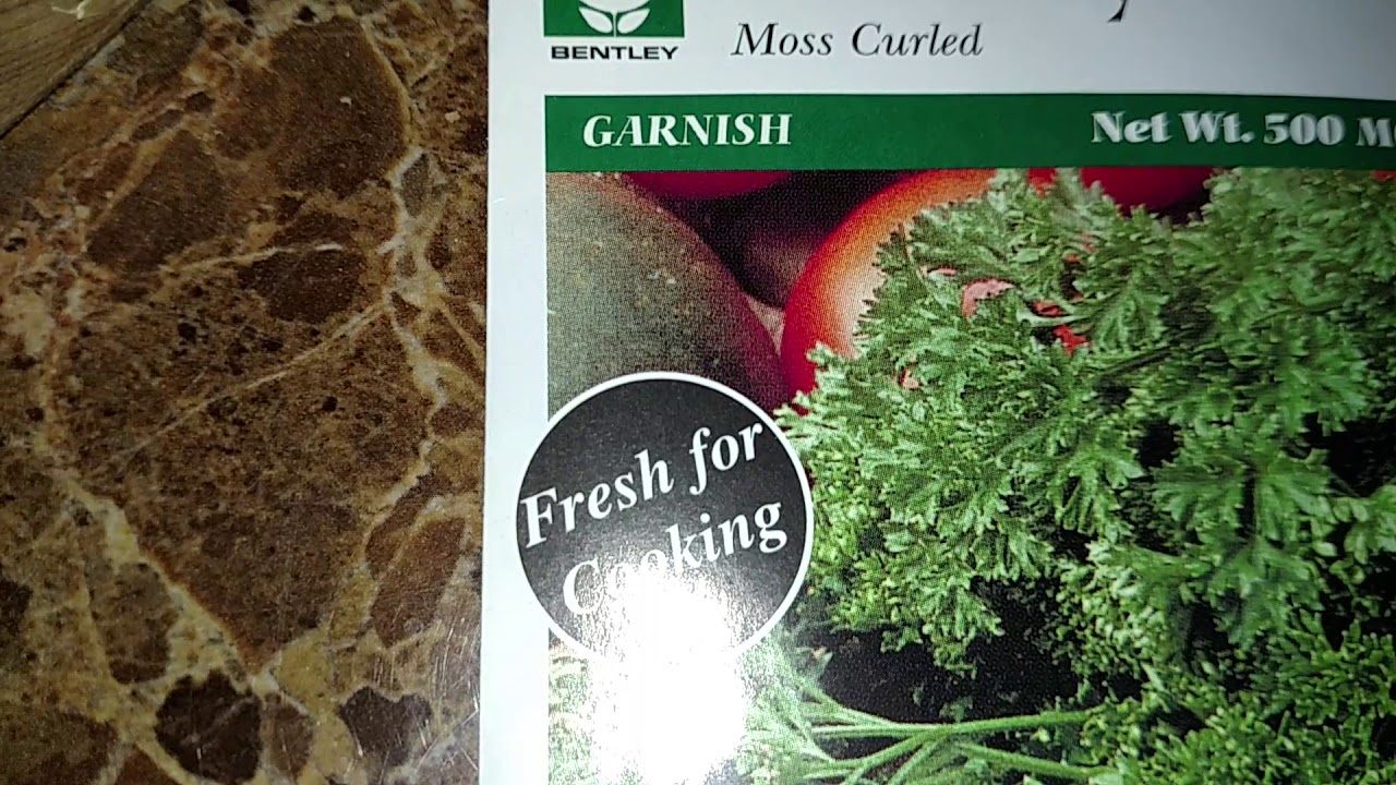 How to grow Parsley #Garden 