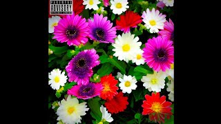 Flowers - Mrl