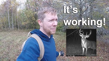 Mock Scrape Success!