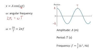 Simple Harmonic Motion