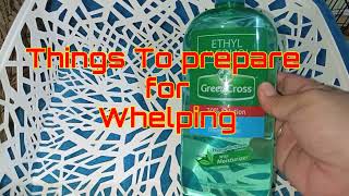 DOG WHELPING || THINGS TO PREPARE BEFORE GIVING BIRTH