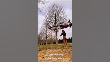 Amazing Tree-Lifting Machine: Watch This!