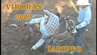 FIESTA PATRONAL VIBORAS 2009  JARIPEO