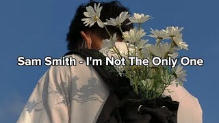 Sam Smith - I'm Not The Only One (Lyrics)