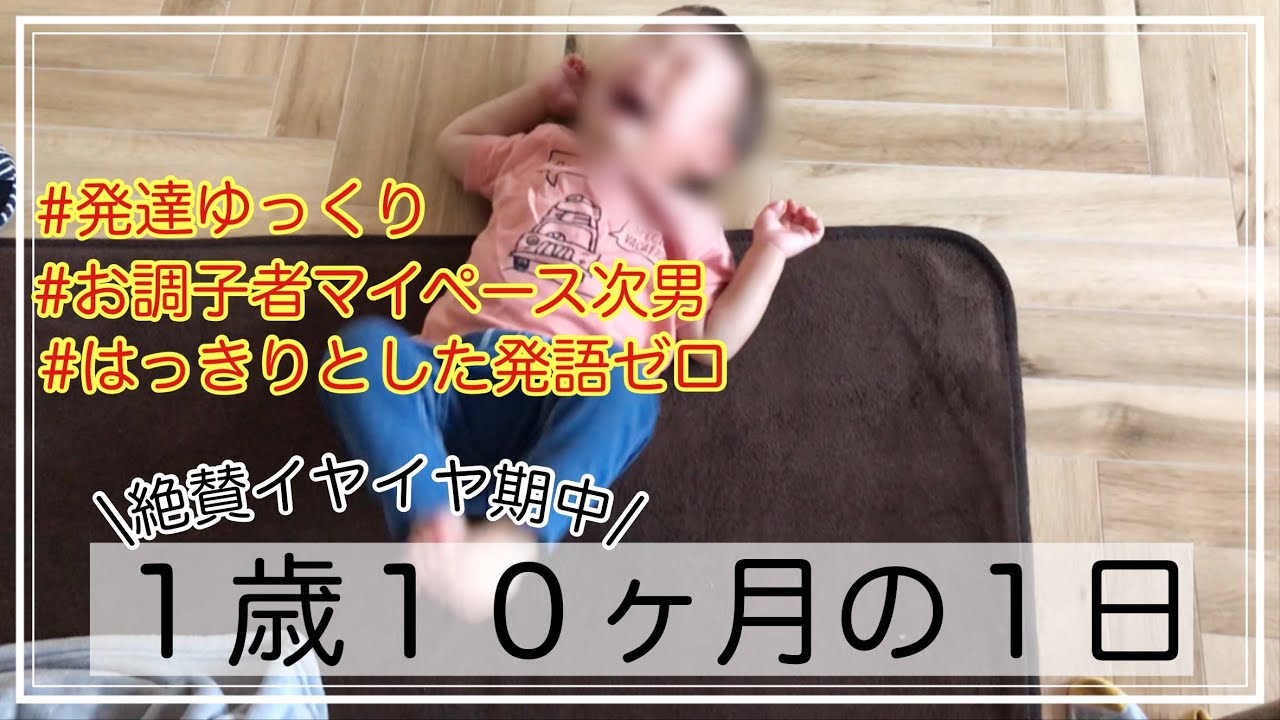 1歳10ヶ月次男の１日👦／発語なし／成長ゆっくり／絶賛イヤイヤ期中😇