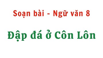 Soạn bài Đập Đá Ở Côn Lôn của Phan Châu Trinh - Ngữ văn 8 - NGẮN GỌN & DỄ HIỂU
