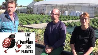 chaine tv  de Jardinage:permaculture:récolte! INCROYABLE !184 Kilos de fruits et légumes! Dans 15m2!