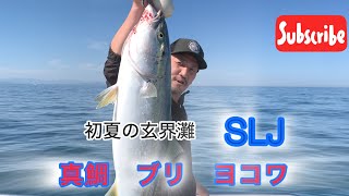 今年初めてのSLJをしたら大物が釣れた