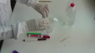 SEPARATING MIXTURES - CHROMATOGRAPHY @ceeaerasmus6013
