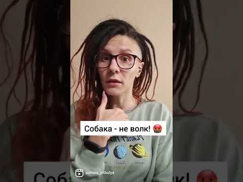 можно ли спать с собакой? #альфа #зоопсихолог #доминирование #собакадругчеловека #кинологкраснодар