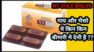 NT- ZOLE BOLUS || Norfloxacin and Tinidazole Bolus For Cattles || How To Use