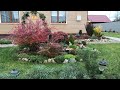 🌹Готовлю розы к зимовке🌹🌱Пересаживаю комнатные растения🌱🏡🌳🍁🍂🍁🌳