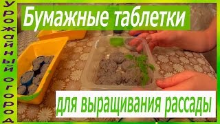 ВЫРАЩИВАНИЕ РАССАДЫ В БУМАЖНЫХ ТАБЛЕТКАХ!!!БЕЗ ЗЕМЛИ!!!