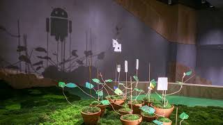 Sprouts - Shadow art Installation Video Highlight